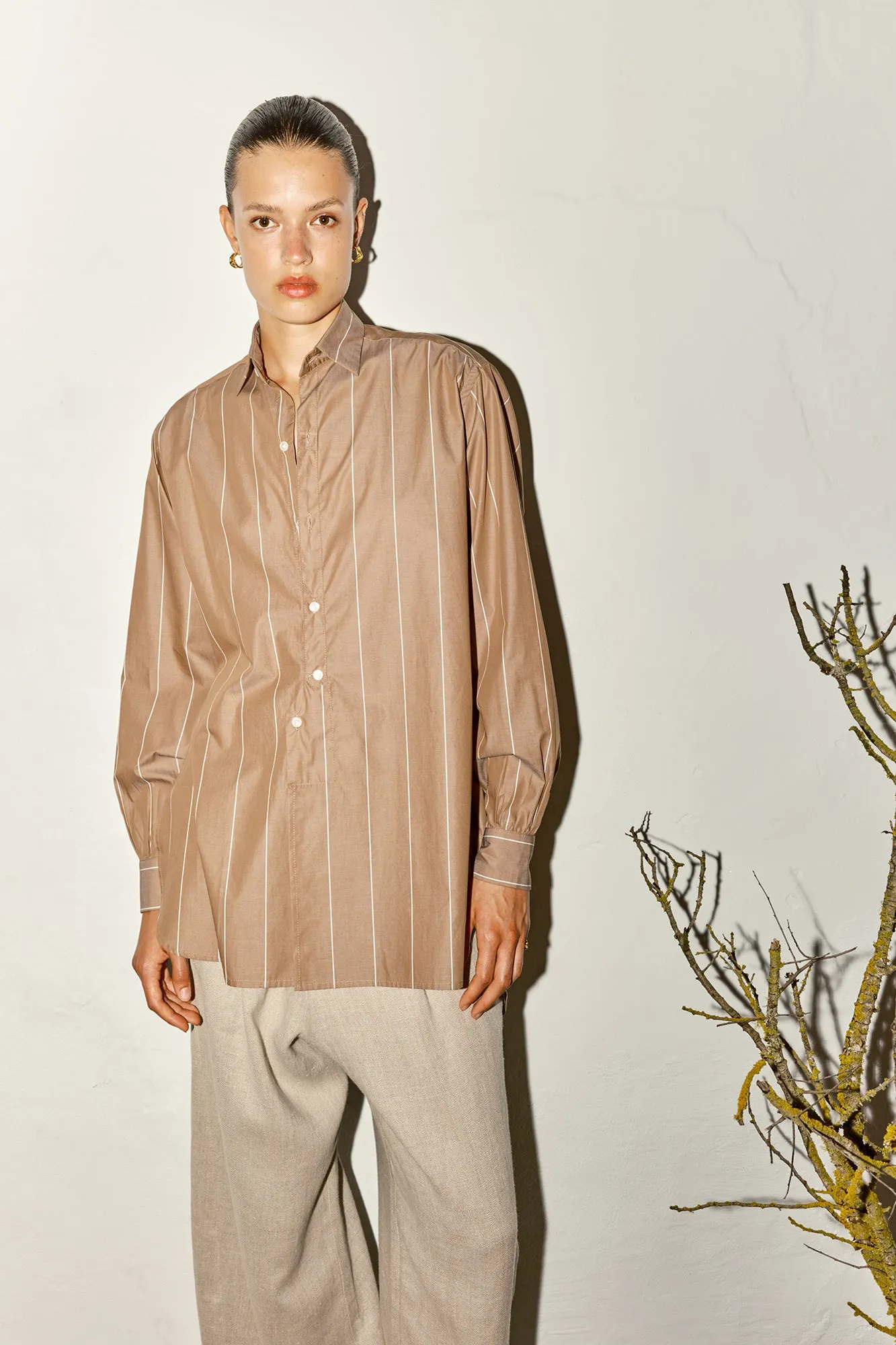 Almond Striped Paul Shirt