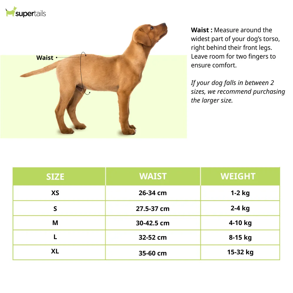 M Pets Diapers for Female Dogs (27.5x37cm)