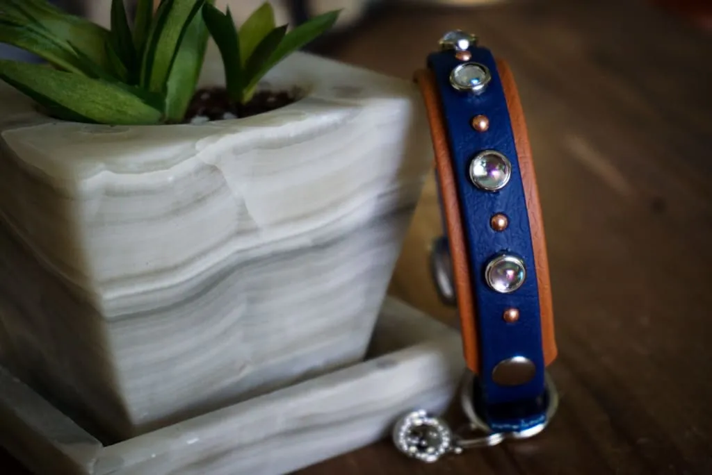 Petite TOFINO Layered Buckle Collar