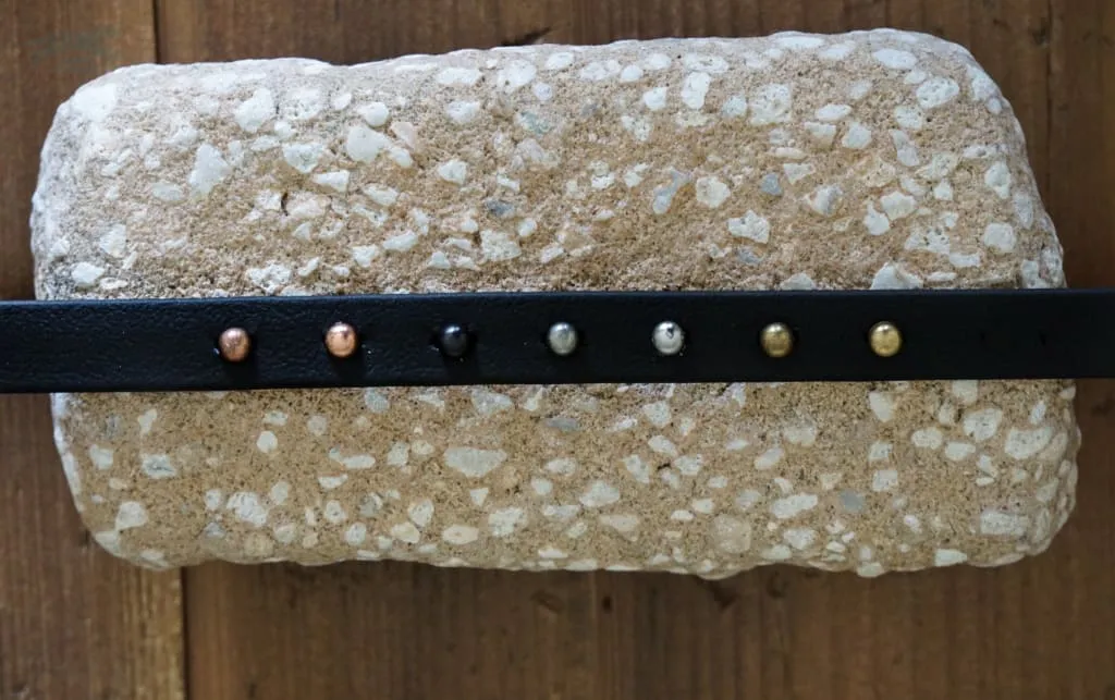 Petite TOFINO Layered Buckle Collar